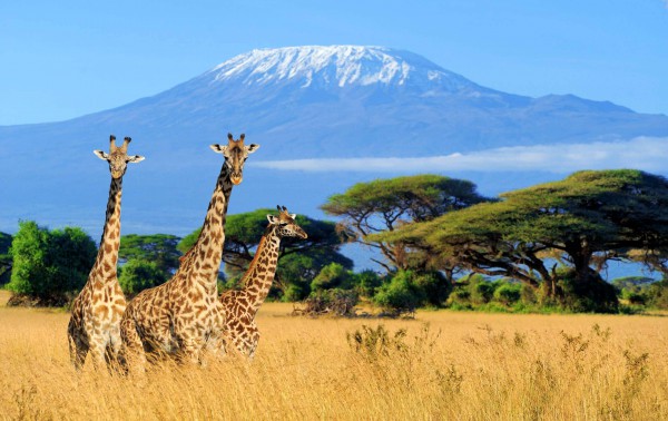 6 Days Mt Kilimanjaro Climbing – Machame Route